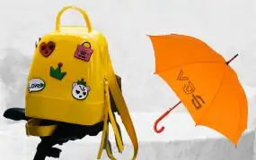 Backpack And Umbrella
